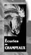 les écuries (très bien) de M. Sanchis ... venez nous rejoindre !